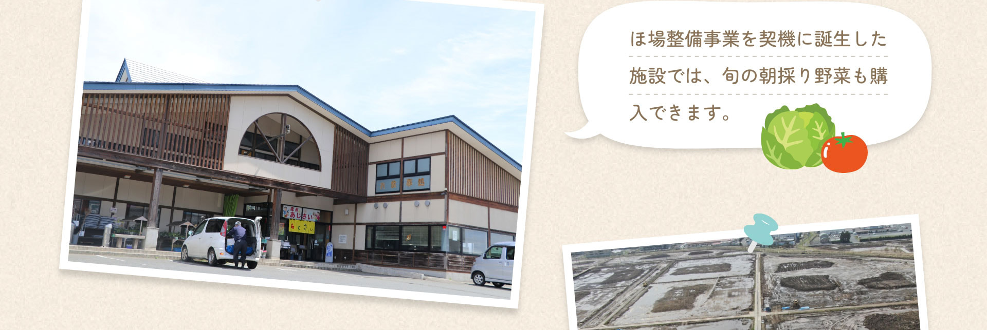 【中古】 環境時代の農村整備 エコビレッジの提案/ぎょうせい/武内和彦 新しい時代の農地整備 - 土地に応じた開発 - 国土づくりの歴史