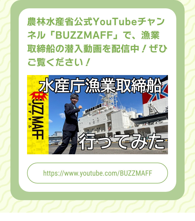 農林水産省公式YouTubeチャンネル「BUZZMAFF」で、漁業取締船の潜入動画を配信中！ぜひご覧ください！ 水産庁漁業取締船 行ってみた https://www.youtube.com/BUZZMAFF