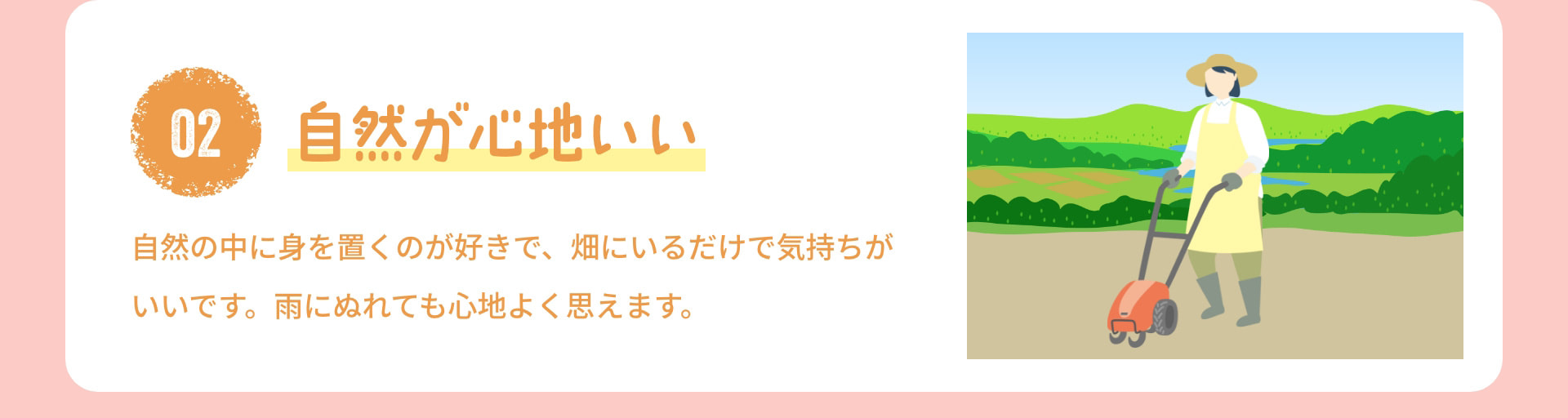 【中古】戦後農業技術発達史 続 第5巻 (野菜作編・花き作編)／農林水産省農林水産技術会議事務局 編／農林水産技術情報協会 中古】戦後農業技術発達史 続 第5巻 (野菜作編・花き作編)／