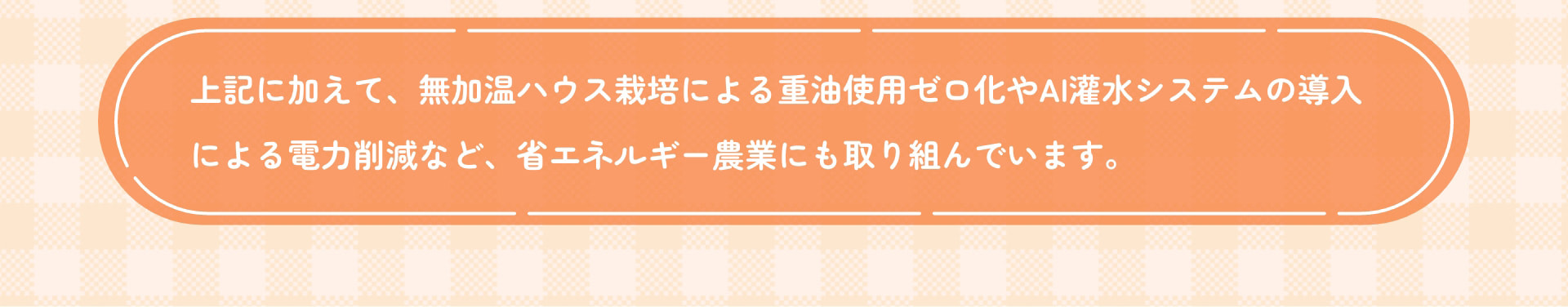上記に加えて、無加温ハウス栽培による重油使用ゼロ化やAI灌水システムの導入による電力削減など、省エネルギー農業にも取り組んでいます。