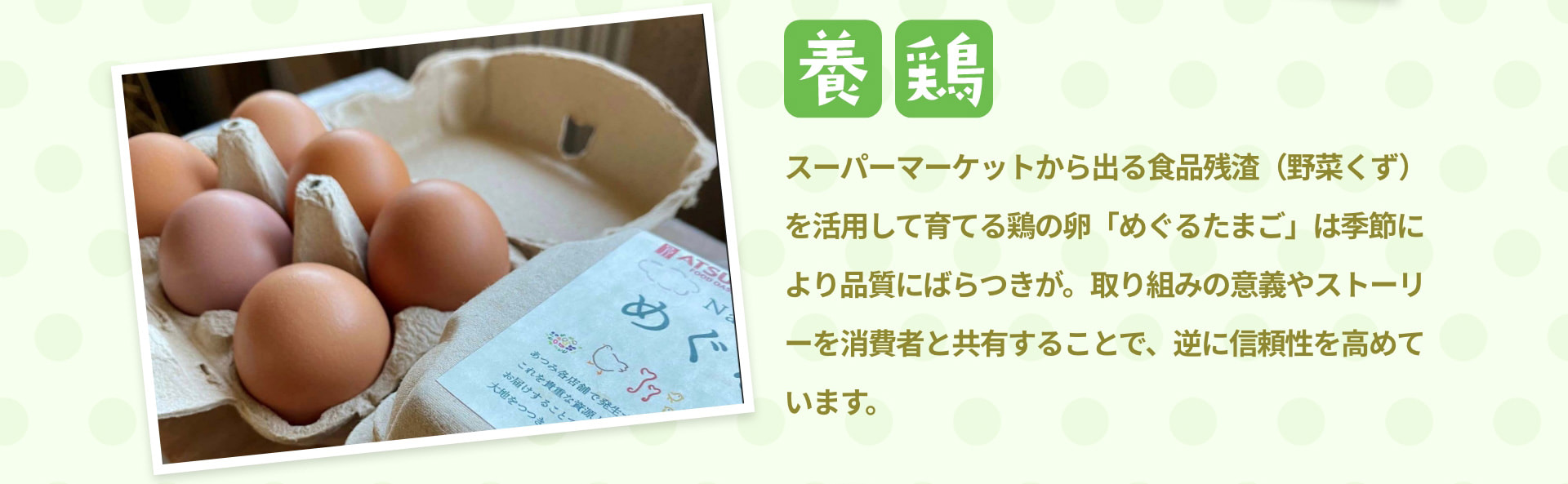 養鶏 スーパーマーケットから出る食品残渣（野菜くず）を活用して育てる鶏の卵「めぐるたまご」は季節により品質にばらつきが。取り組みの意義やストーリーを消費者と共有することで、逆に信頼性を高めています。