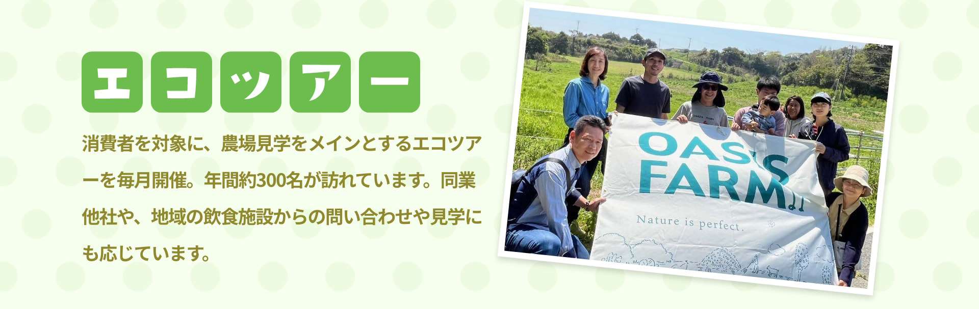 エコツアー 消費者を対象に、農場見学をメインとするエコツアーを毎月開催。年間約300名が訪れています。同業他社や、地域の飲食施設からの問い合わせや見学にも応じています。