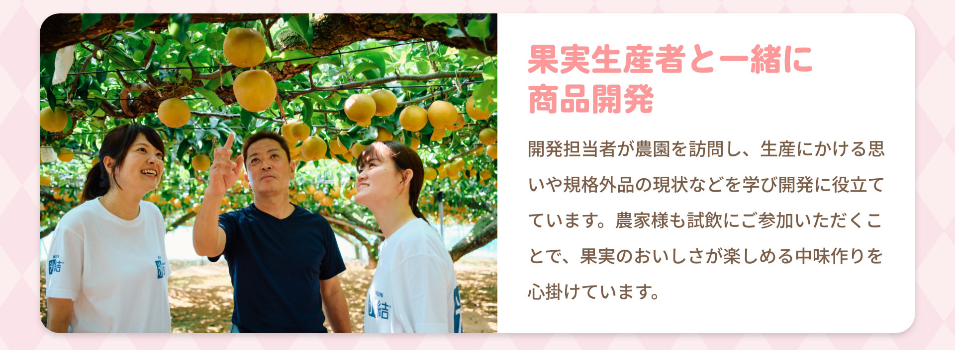 果実生産者と一緒に商品開発 開発担当者が農園を訪問し、生産にかける思いや規格外品の現状などを学び開発に役立てています。農家様も試飲にご参加いただくことで、果実のおいしさが楽しめる中味作りを心掛けています。