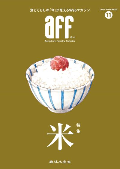 2025年11月号表紙