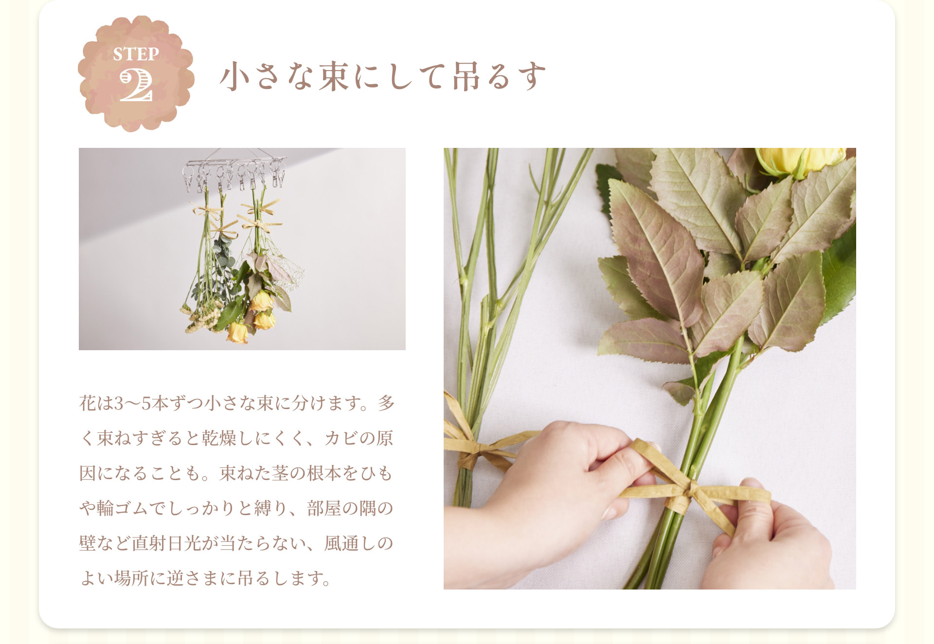 STEP 2 小さな束にして吊るす 花は3～5本ずつ小さな束に分けます。多く束ねすぎると乾燥しにくく、カビの原因になることも。束ねた茎の根本をひもや輪ゴムでしっかりと縛り、部屋の隅の壁など直射日光が当たらない、風通しのよい場所に逆さまに吊るします。