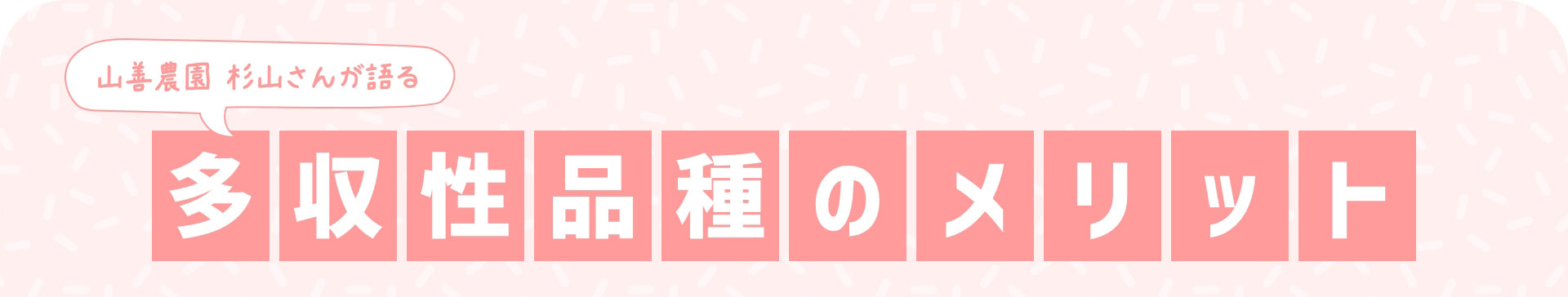 山善農園 杉山さんが語る 多収性品種のメリット