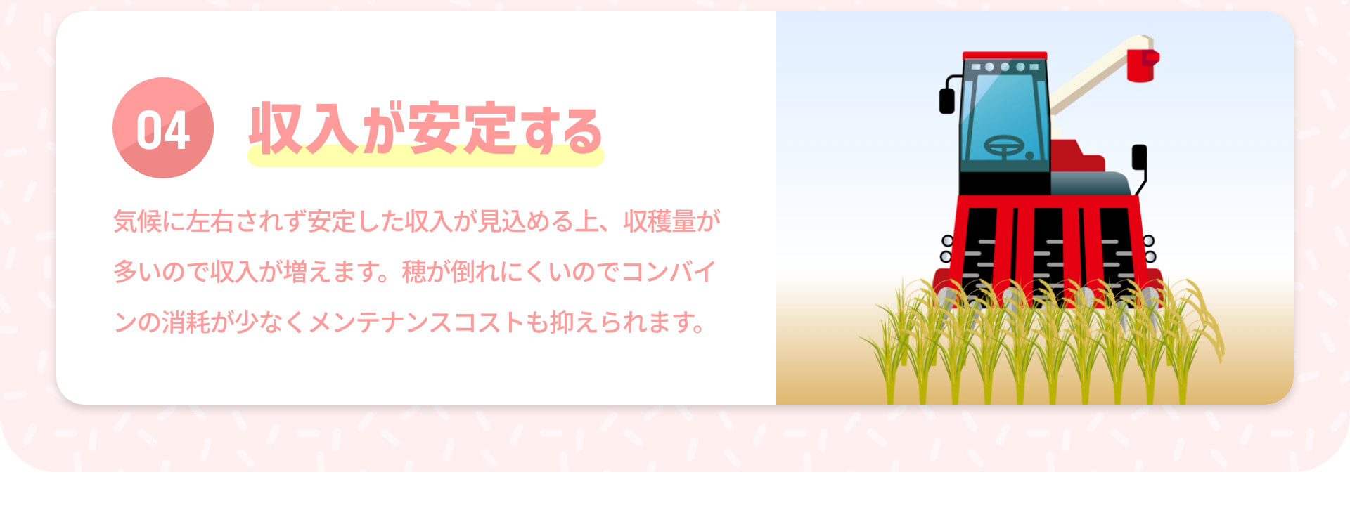 04 収入が安定する 気候に左右されず安定した収入が見込める上、収穫量が多いので収入が増えます。穂が倒れにくいのでコンバインの消耗が少なくメンテナンスコストも抑えられます。