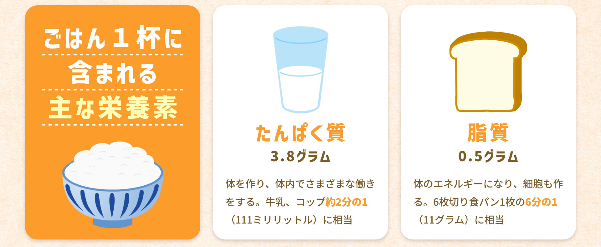ごはん１杯に含まれる主な栄養素 たんぱく質3.8グラム 体を作り、体内でさまざまな働きをする。牛乳、コップ約2分の1（111ミリリットル）に相当 脂質0.5グラム 体のエネルギーになり、細胞も作る。6枚切り食パン1枚の6分の1（11グラム）に相当
