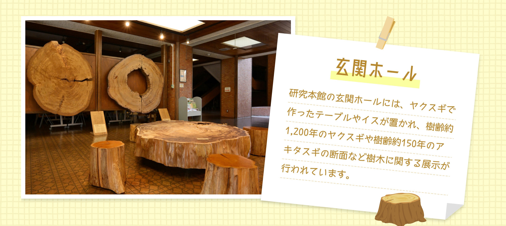 森林総合研究所 潜入リポート：農林水産省