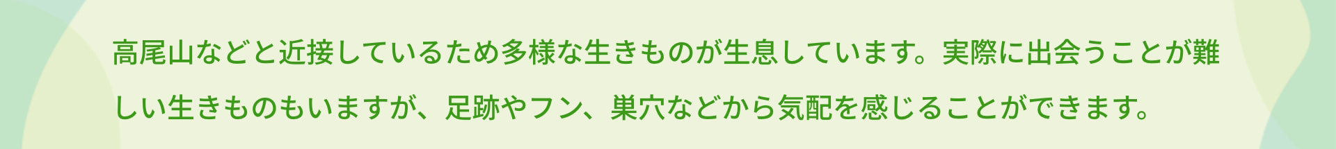 高尾山などと近接しているため多様な生きものが生息しています。実際に出会うことが難しい生きものもいますが、足跡やフン、巣穴などから気配を感じることができます。