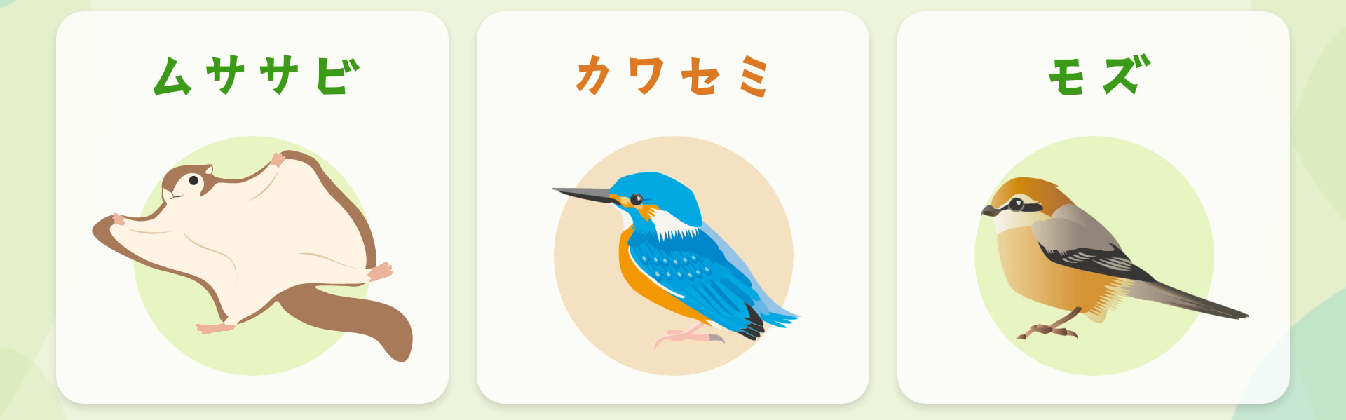 ムササビ カワセミ モズ