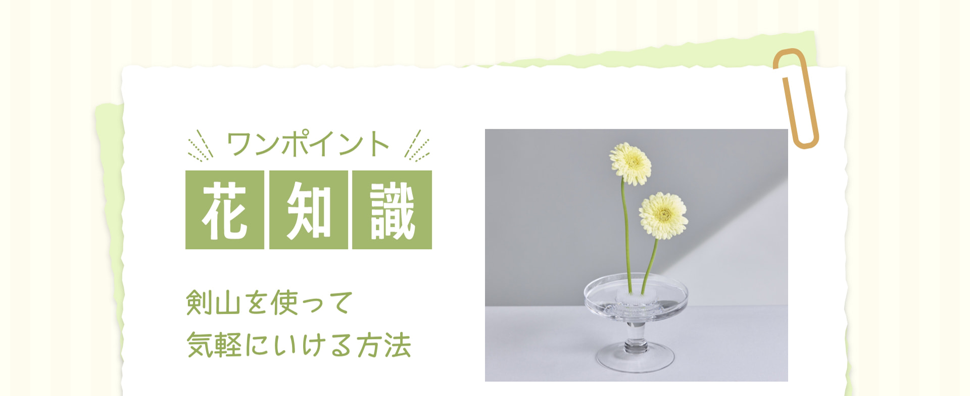 ワンポイント 花知識 剣山を使って 気軽にいける方法