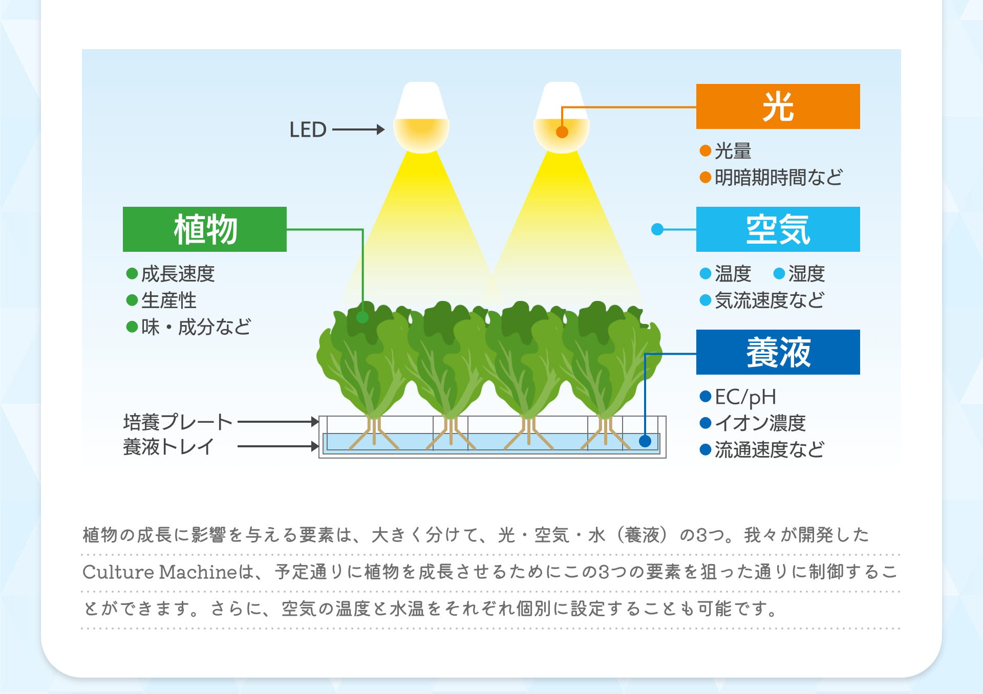 LED 光 光量 明暗期間など 植物 成長速度 生産性 味・成分など 空気 温度 湿度 気流速度など 養液 EC/pH イオン濃度 流通速度など 培養プレート 養液トレイ 植物の成長に影響を与える要素は、大きく分けて、光・空気・水（養液）の3つ。我々が開発したCulture Machineは、予定通りに植物を成長させるためにこの3つの要素を狙った通りに制御することができます。さらに、空気の温度と水温をそれぞれ個別に設定することも可能です。