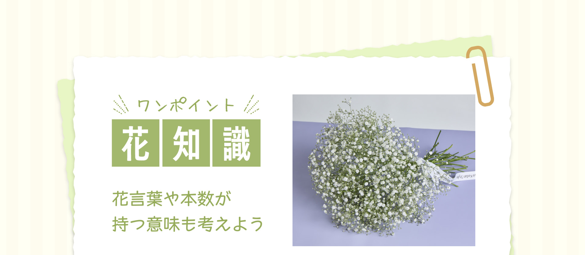 ワンポイント 花知識 剣山を使って 花言葉や本数が持つ意味も考えよう