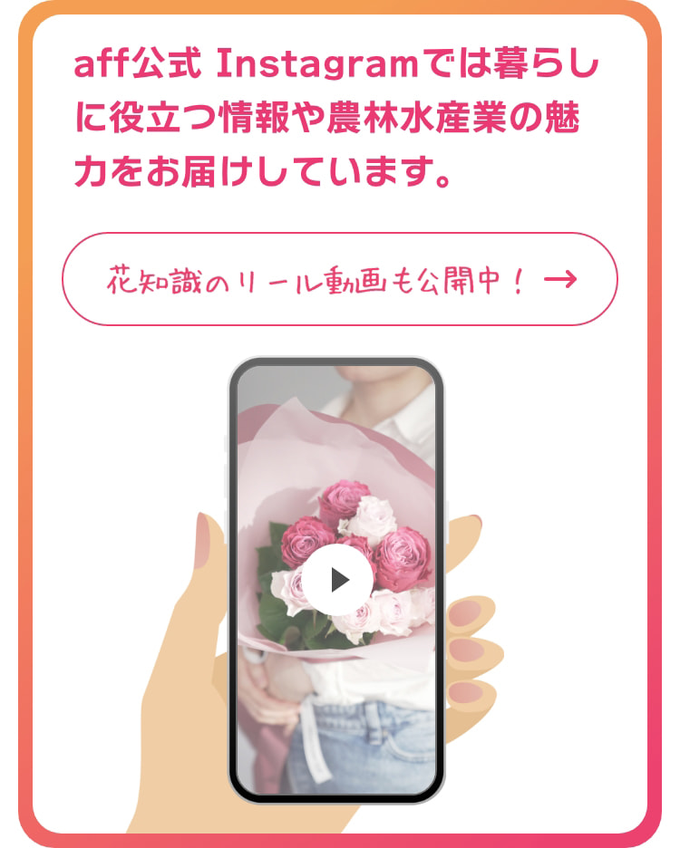 aff公式 Instagramでは暮らしに役立つ情報や農林水産業の魅力をお届けしています。花知識のリール動画も公開中！　https://www.instagram.com/aff_maffjapan/