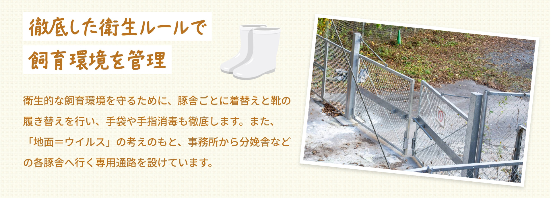 徹底した衛生ルールで飼育環境を管理 衛生的な飼育環境を守るために、豚舎ごとに着替えと靴の履き替えを行い、手袋や手指消毒も徹底します。また、「地面＝ウイルス」の考えのもと、事務所から分娩舎などの各豚舎へ行く専用通路を設けています。