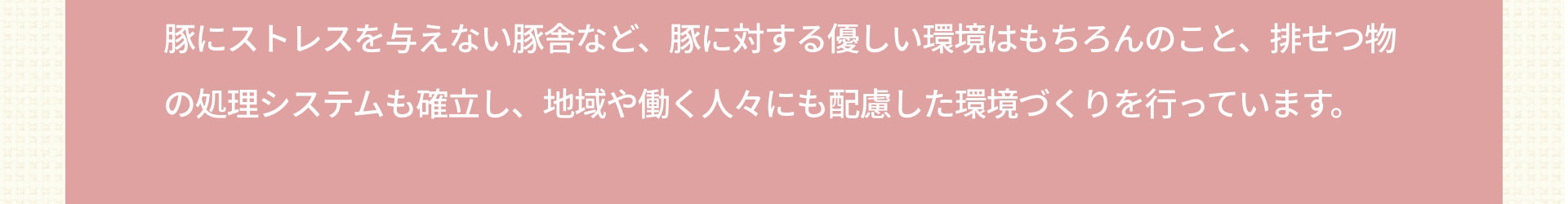 豚にストレスを与えない豚舎など、豚に対する優しい環境はもちろんのこと、排せつ物の処理システムも確立し、地域や働く人々にも配慮した環境づくりを行っています。