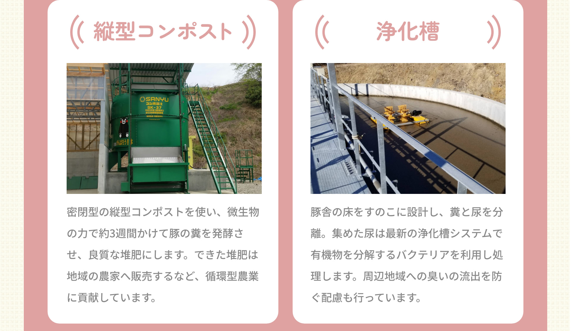 縦型コンポスト 密閉型の縦型コンポストを使い、微生物の力で約3週間かけて豚の糞を発酵させ、良質な堆肥にします。できた堆肥は地域の農家へ販売するなど、循環型農業に貢献しています。 浄化槽 豚舎の床をすのこに設計し、糞と尿を分離。集めた尿は最新の浄化槽システムで有機物を分解するバクテリアを利用し処理します。周辺地域への臭いの流出を防ぐ配慮も行っています。