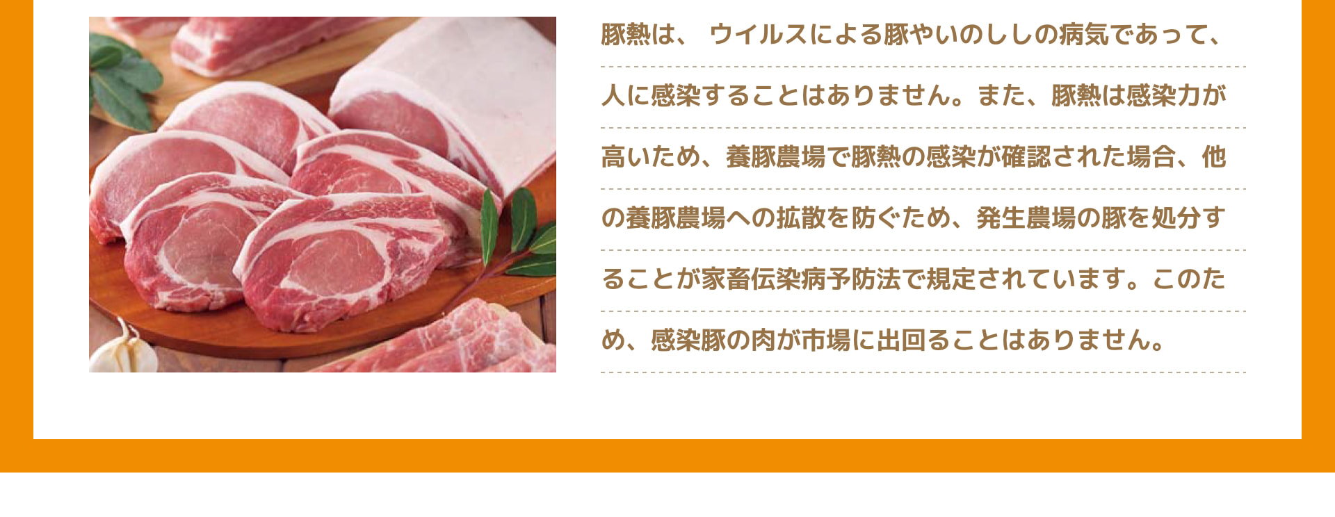 豚熱は、 ウイルスによる豚やいのししの病気であって、人に感染することはありません。また、豚熱は感染力が高いため、養豚農場で豚熱の感染が確認された場合、他の養豚農場への拡散を防ぐため、発生農場の豚を処分することが家畜伝染病予防法で規定されています。このため、感染豚の肉が市場に出回ることはありません。