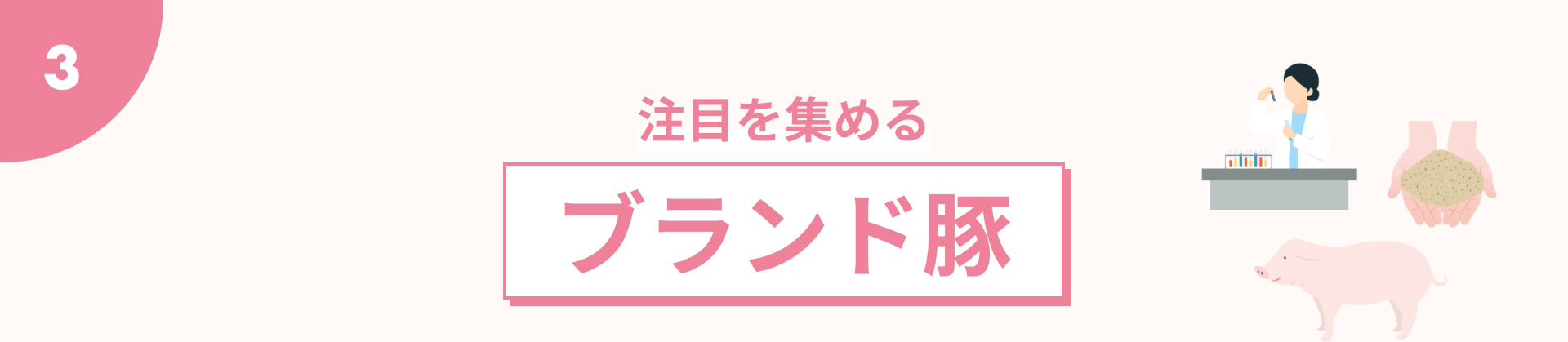 3 注目を集める ブランド豚