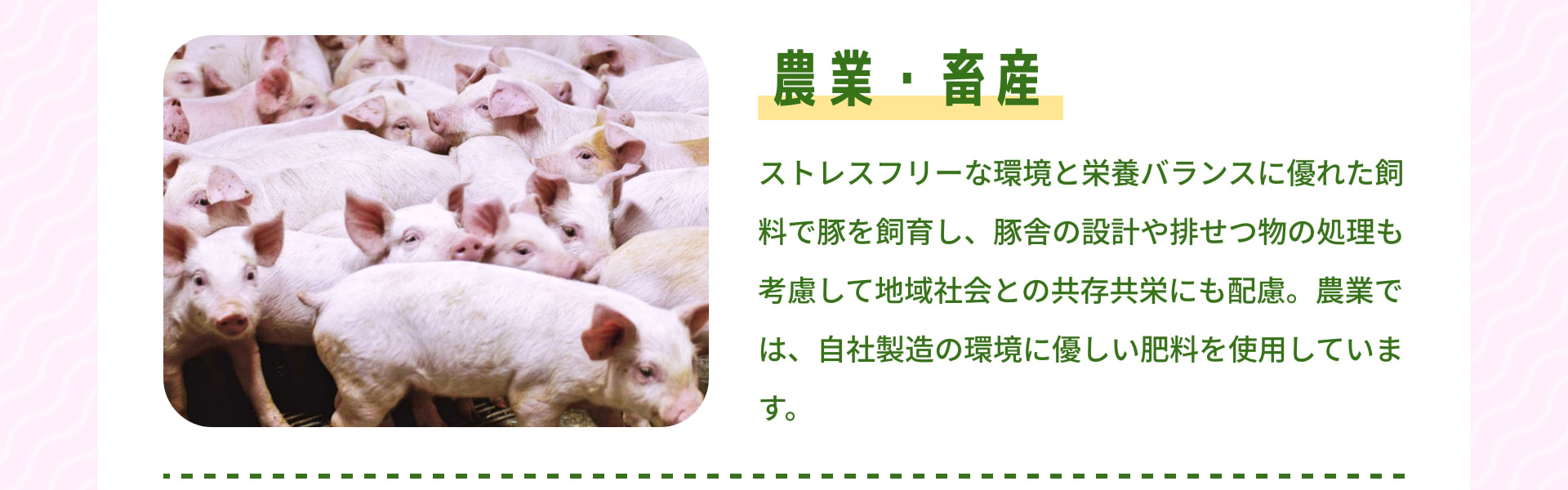 農業・畜産 ストレスフリーな環境と栄養バランスに優れた飼料で豚を飼育し、豚舎の設計や排せつ物の処理も考慮して地域社会との共存共栄にも配慮。農業では、自社製造の環境に優しい肥料を使用しています。