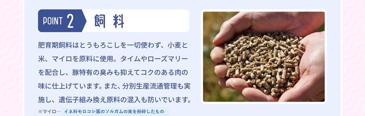 POINT 2 飼料 肥育期飼料はとうもろこしを一切使わず、小麦と米、マイロを原料に使用。タイムやローズマリーを配合し、豚特有の臭みも抑えてコクのある肉の味に仕上げています。また、分別生産流通管理も実施し、遺伝子組み換え原料の混入も防いでいます。 ※マイロ&hellip;イネ科モロコシ属のソルガムの実を粉砕したもの