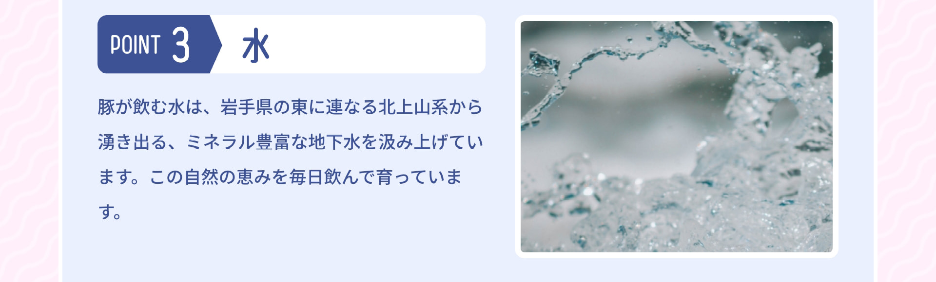 POINT 3 水 豚が飲む水は、岩手県の東に連なる北上山系から湧き出る、ミネラル豊富な地下水を汲み上げています。この自然の恵みを毎日飲んで育っています。