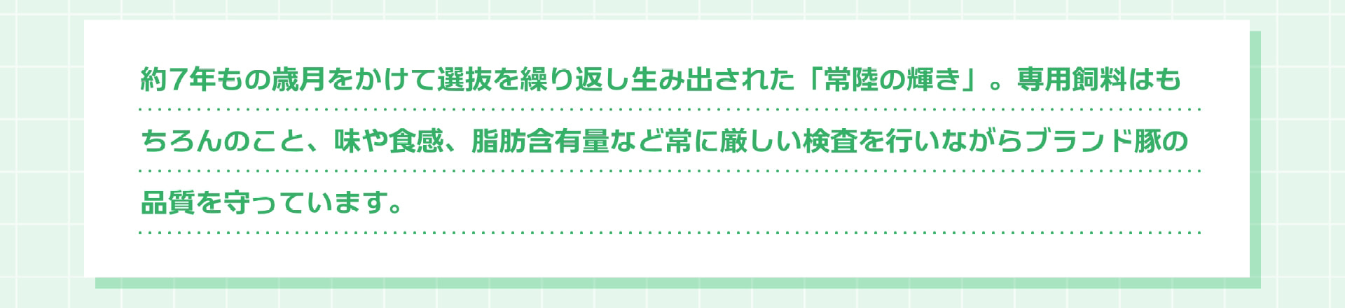 約7年もの歳月をかけて選抜を繰り返し生み出された「常陸の輝き」。専用飼料はもちろんのこと、味や食感、脂肪含有量など常に厳しい検査を行いながらブランド豚の品質を守っています。