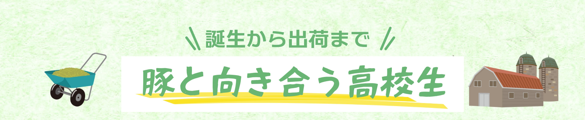 誕生から出荷まで 豚と向き合う高校生