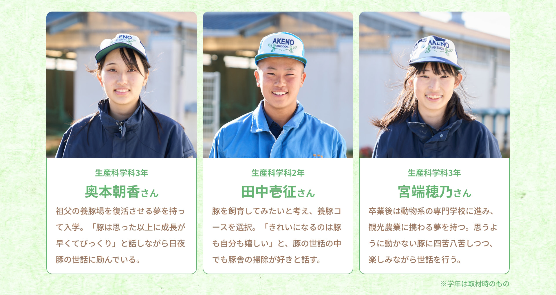 生産科学科3年 奥本朝香さん 祖父の養豚場を復活させる夢を持って入学。「豚は思った以上に成長が早くてびっくり」と話しながら日夜豚の世話に励んでいる。 生産科学科2年 田中壱征さん 豚を飼育してみたいと考え、養豚コースを選択。「きれいになるのは豚も自分も嬉しい」と、豚の世話の中でも豚舎の掃除が好きと話す。 生産科学科3年 宮端穂乃さん 卒業後は動物系の専門学校に進み、観光農業に携わる夢を持つ。思うように動かない豚に四苦八苦しつつ、楽しみながら世話を行う。 ※学年は取材時のもの