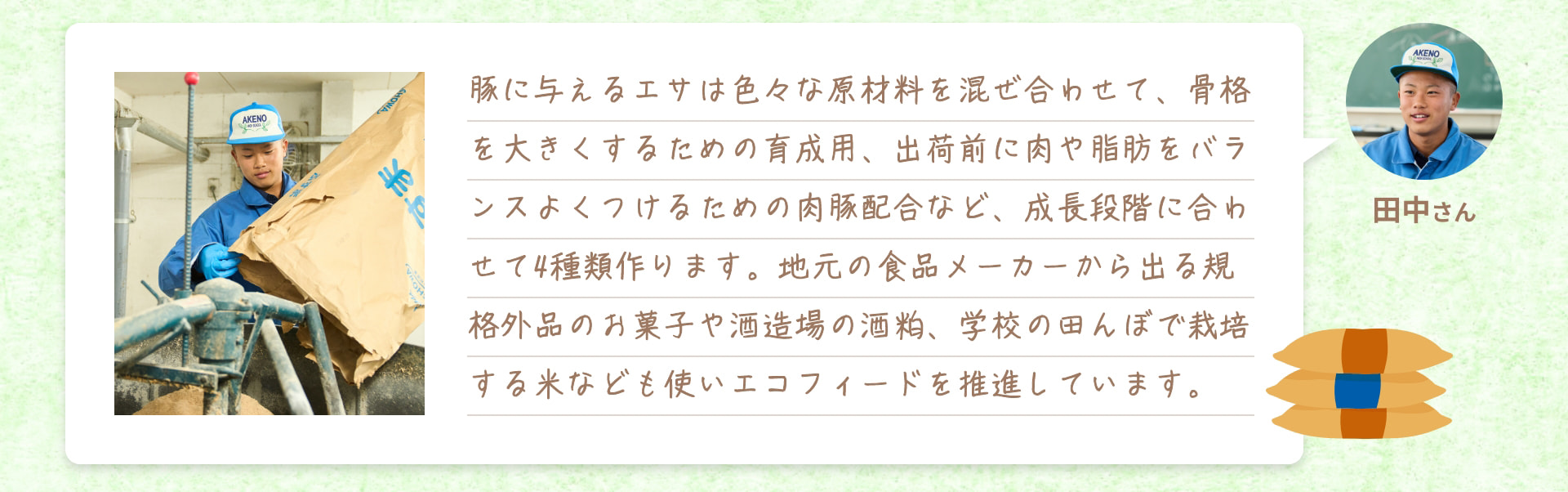 豚に与えるエサは色々な原材料を混ぜ合わせて、骨格を大きくするための育成用、出荷前に肉や脂肪をバランスよくつけるための肉豚配合など、成長段階に合わせて4種類作ります。地元の食品メーカーから出る規格外品のお菓子や酒造場の酒粕、学校の田んぼで栽培する米なども使いエコフィードを推進しています。 田中さん