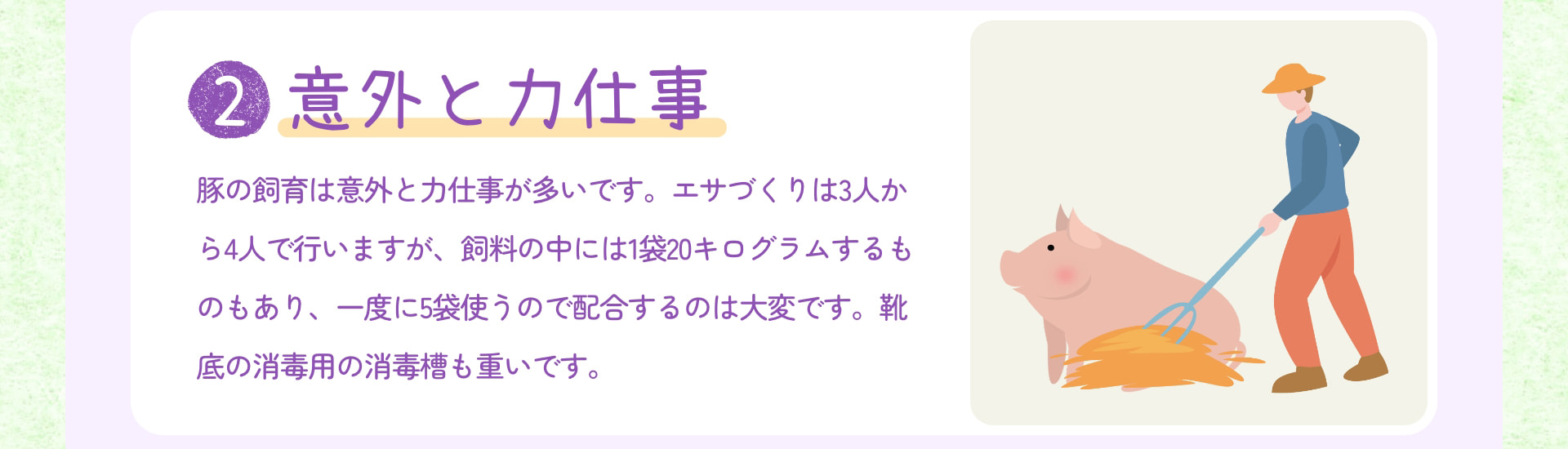 2 意外と力仕事 豚の飼育は意外と力仕事が多いです。エサづくりは3人から4人で行いますが、飼料の中には1袋20キログラムするものもあり、一度に5袋使うので配合するのは大変です。靴底の消毒用の消毒槽も重いです。