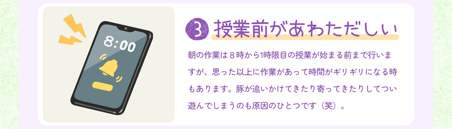 3 授業前があわただしい 朝の作業は8時から1時限目の授業が始まる前まで行いますが、思った以上に作業があって時間がギリギリになる時もあります。豚が追いかけてきたり寄ってきたりしてつい遊んでしまうのも原因のひとつです（笑）。