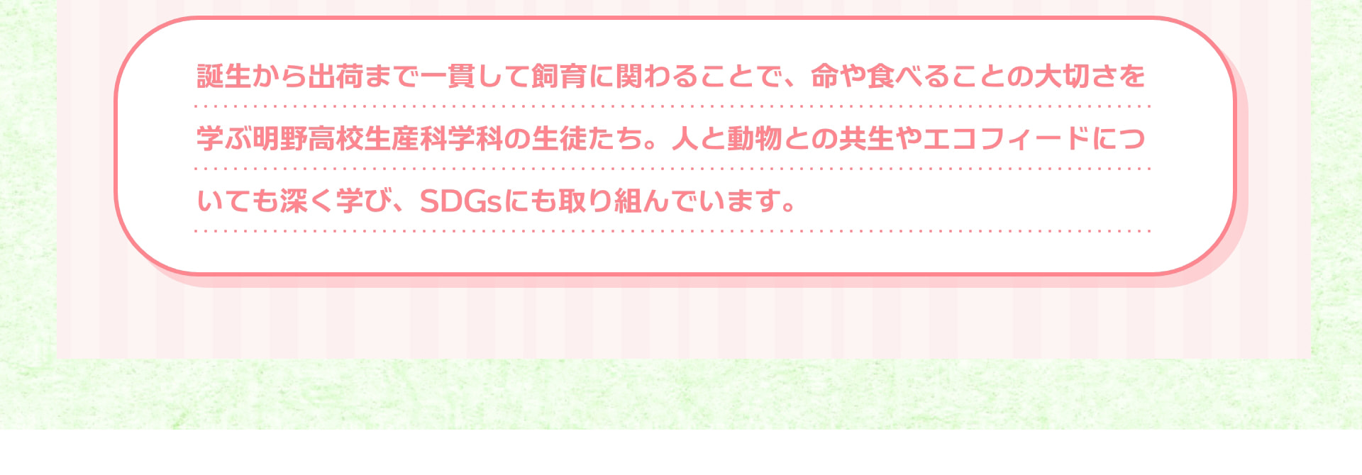 誕生から出荷まで一貫して飼育に関わることで、命や食べることの大切さを学ぶ明野高校生産科学科の生徒たち。人と動物との共生やエコフィードについても深く学び、SDGsにも取り組んでいます。