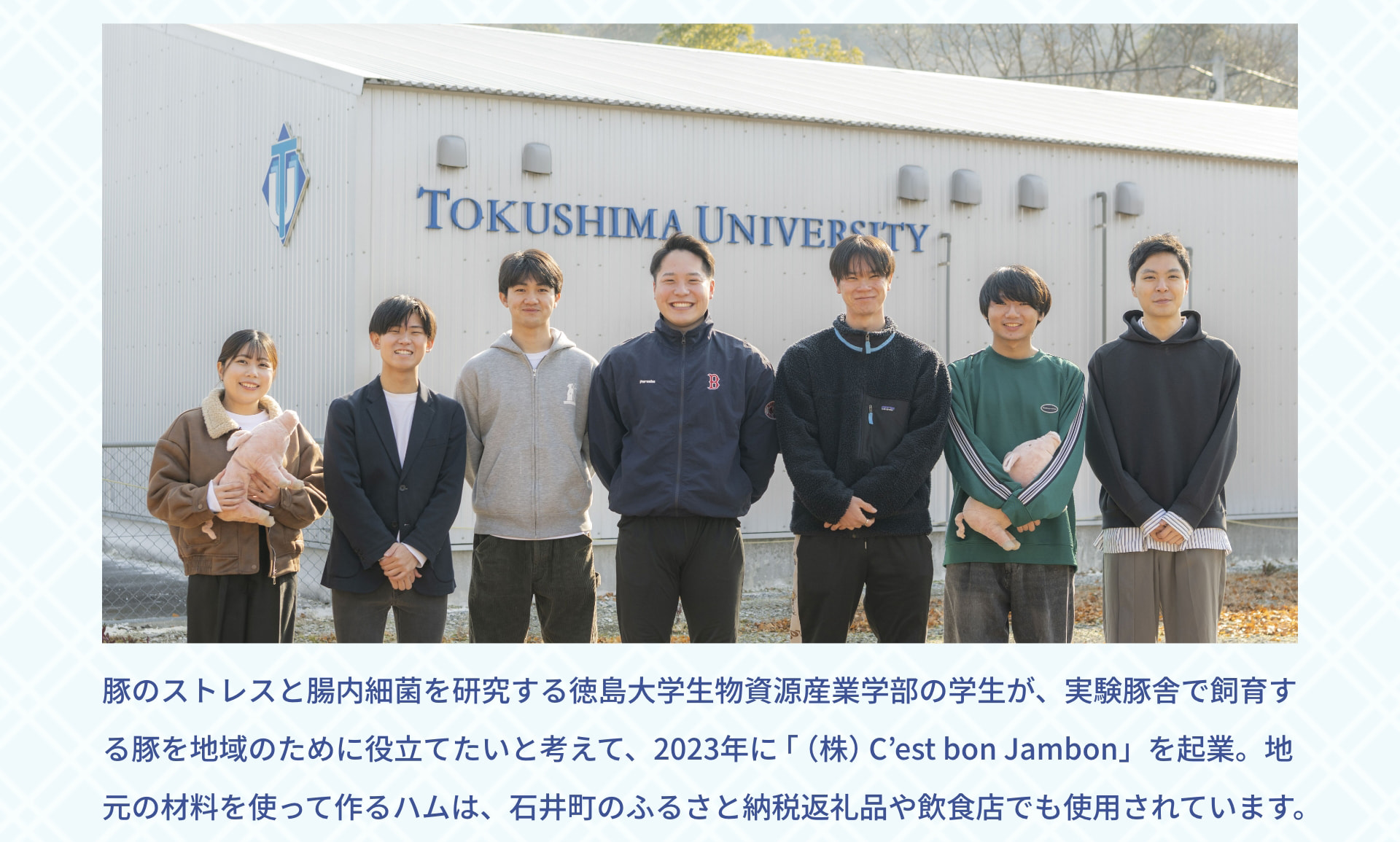豚のストレスと腸内細菌を研究する徳島大学生物資源産業学部の学生が、実験豚舎で飼育する豚を地域のために役立てたいと考えて、2023年に「（株）C&rsquo;est bon Jambon」を起業。地元の材料を使って作るハムは、石井町のふるさと納税返礼品や飲食店でも使用されています。