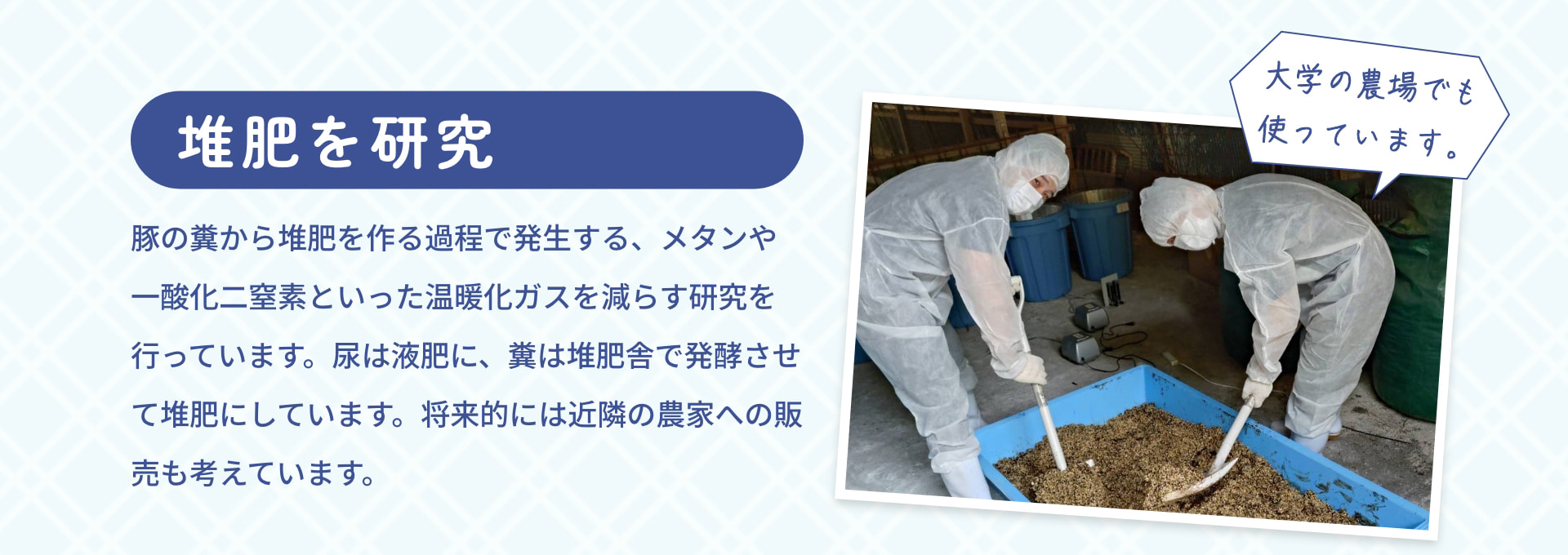 堆肥を研究 豚の糞から堆肥を作る過程で発生する、メタンや一酸化二窒素といった温暖化ガスを減らす研究を行っています。尿は液肥に、糞は堆肥舎で発酵させて堆肥にしています。将来的には近隣の農家への販売も考えています。 大学の農場でも使っています。