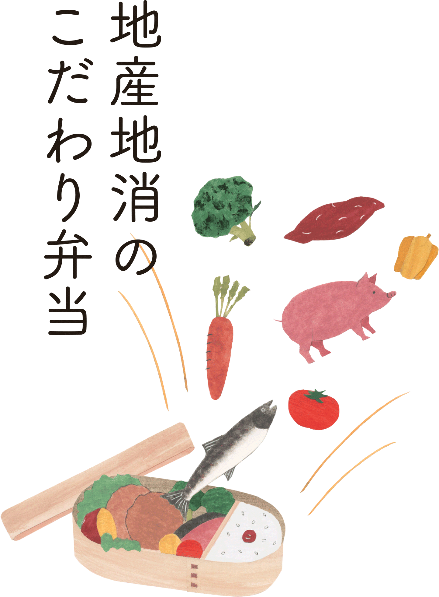 地産地消のこだわり弁当
