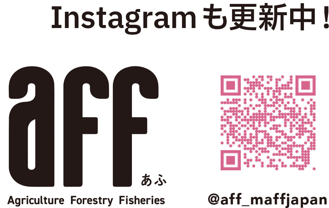 Instagramも更新中!@aff_maffjapan