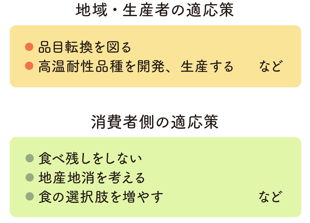 地域・生産者の適応策・消費者側の適応策の表