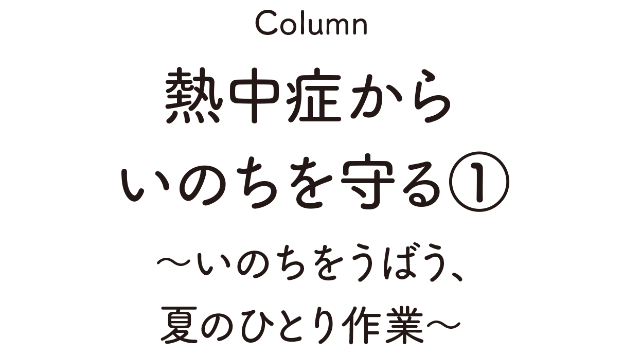 Column:熱中症からいのちを守る①~いのちをうばう、夏のひとり作業~