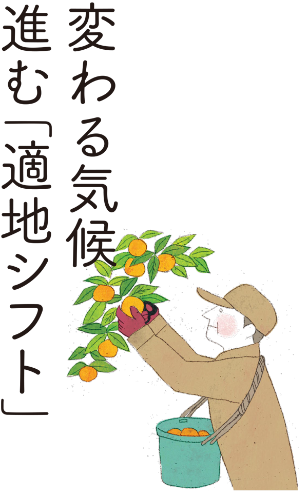 変わる気候進む「適地シフト」