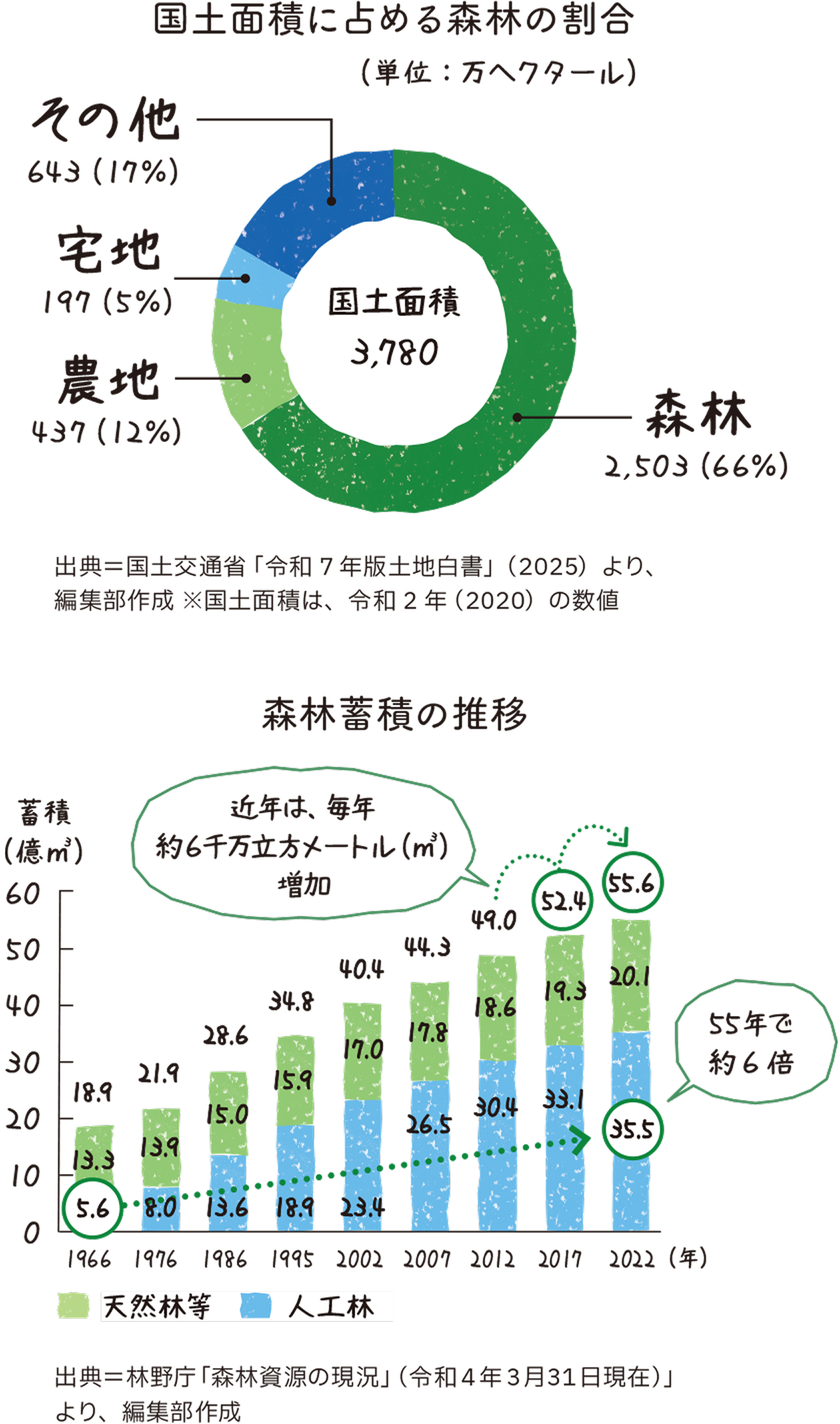 国土面積に占める森林の割合のグラフ。森林蓄積の推移のグラフ。近年は、毎年約6千万立方メートル（㎥）増加。55年で約6倍