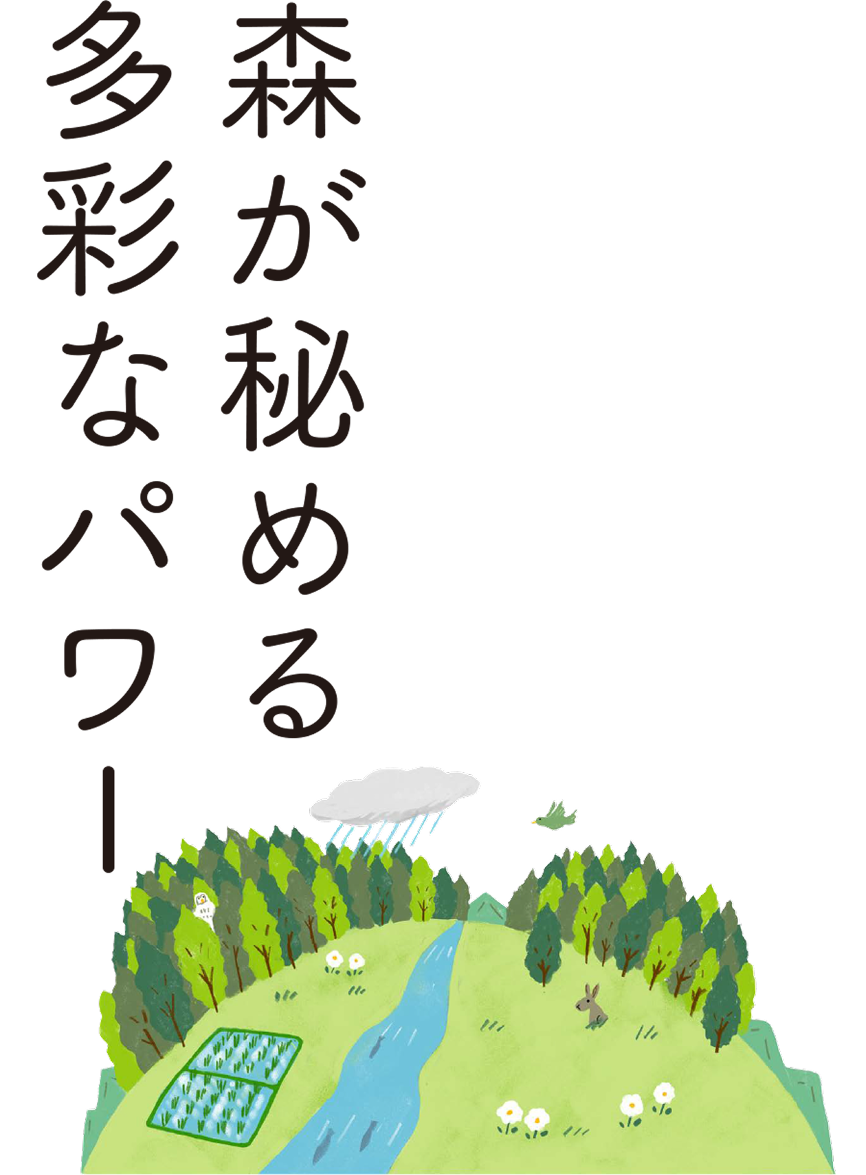森が秘める多彩なパワー
