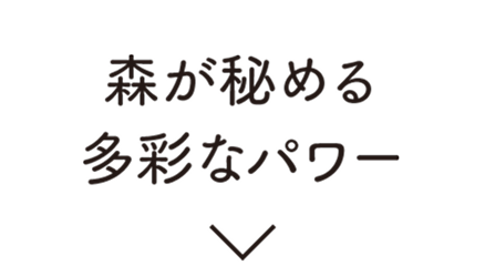 森が秘める多彩なパワー