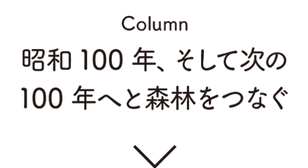 Column:昭和100年、そして次の100年へと森林をつなぐ