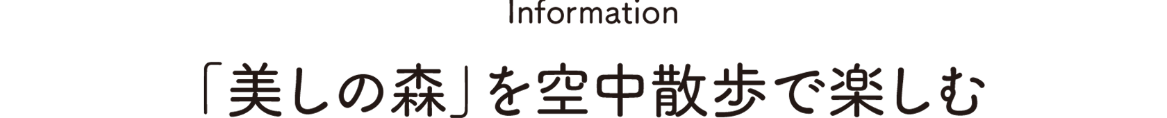 Information:美しの森を空中散歩で楽しむ