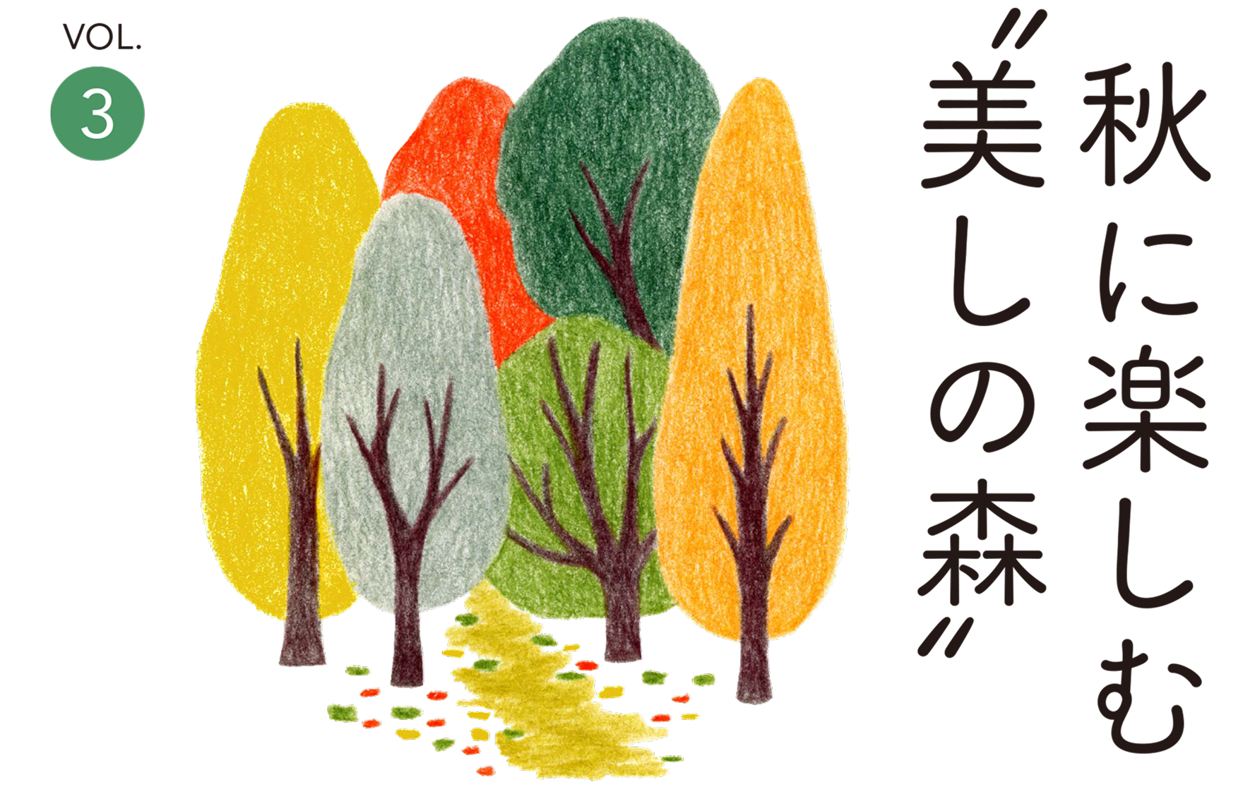秋に楽しむ美しの森