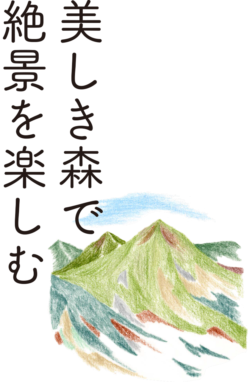 :美しき森で絶景を楽しむ