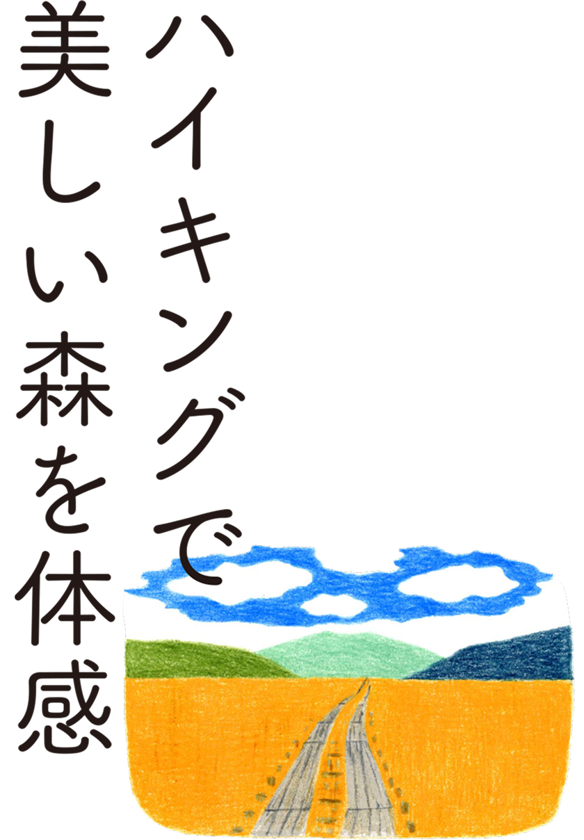 ハイキングで美しい森を体感