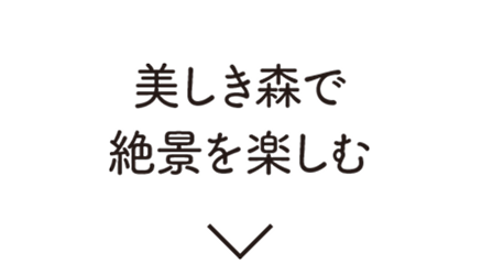 美しき森で絶景を楽しむ